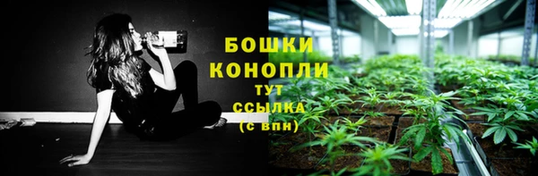 молекула духа Зеленодольск