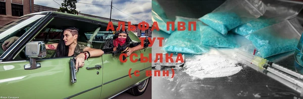 молекула духа Зеленодольск