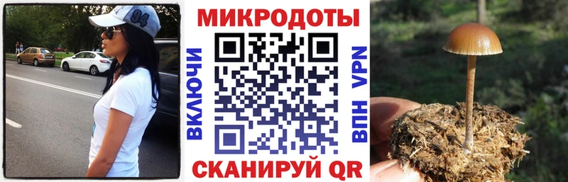 Галлюциногенные грибы Psilocybine cubensis  Купить где  Бахчисарай 